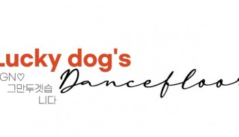 Lucky Dog's Dance Floor